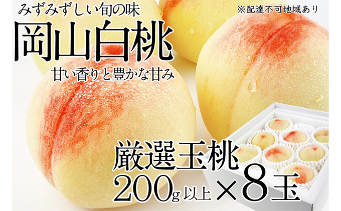 桃 2024年 先行予約 岡山の白桃 200g以上×8玉 白桃 旬 みずみずしい 晴れの国 おかやま 岡山県産 フルーツ王国 果物王国