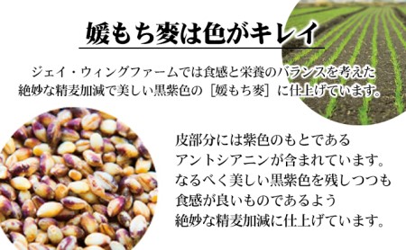 媛もち麥1kg2袋セット／もち麦 麦ごはん 雑穀