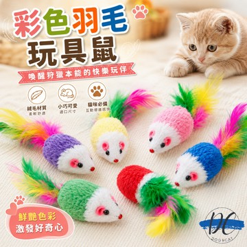 【DC寵物有發票】🐾貓玩具老鼠 貓 貓咪玩具老鼠 仿真老鼠 逗貓神器 逗貓玩具 彩色羽毛 發聲玩具 毛絨老鼠 A146