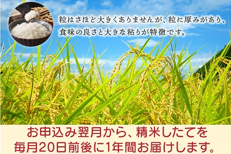 鹿児島県産米ひのひかり10kg定期便 013-07