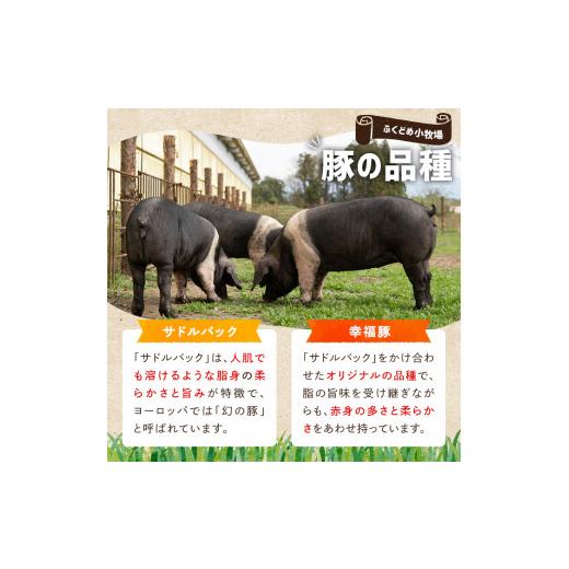 ふるさと納税 鹿児島県 鹿屋市 2034 ふくどめ小牧場ハム・ソーセージ詰め合わせ