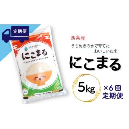 ふるさと納税 西条産のお米「にこまる」（５kg） 令和5年産 新米 愛媛県西条市