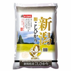 取り寄せ グルメ ギフト 白米 新潟県産 こしひかり 5kg