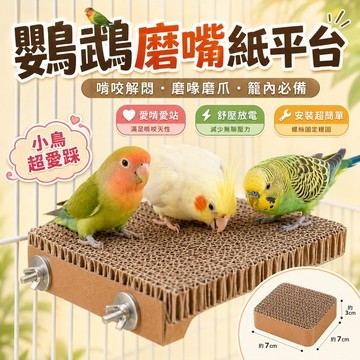 【現貨】鳥類紙板平台 鸚鵡啃咬玩具 可掛籠紙板平台 鸚鵡休息 解悶玩具 虎皮 玄風 牡丹 鸚鵡用品 鳥籠造景 磨牙潔齒