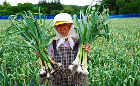 熟成黒にんにく　田子の黒バラ120gたっこ王子