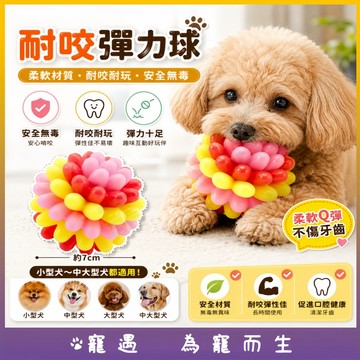 狗狗玩具球 彈力玩具球 狗玩具耐咬 磨牙啃咬玩具 寵物玩具 TPR玩具 訓練玩具 狗狗互動球 耐咬跳跳球 潔齒玩具球
