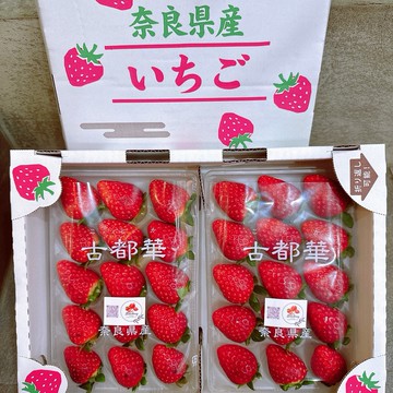 【帕查嬤嬤】🇯🇵日本 奈良之光 限量款《夢幻品種》橋本農場 古都華 草莓🍓｜日本草莓禮盒