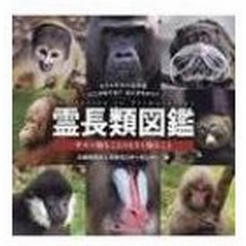 霊長類図鑑 サルを知ることはヒトを知ること 公益財団法人日本モンキーセンター 図鑑 通販 Lineポイント最大0 5 Get Lineショッピング