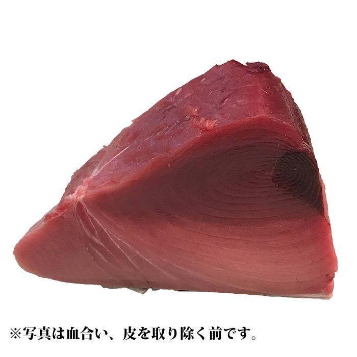 生・本マグロ　中トロ・赤身ブロック　約1kg　国産・養殖 （血合い・皮あり） 背側