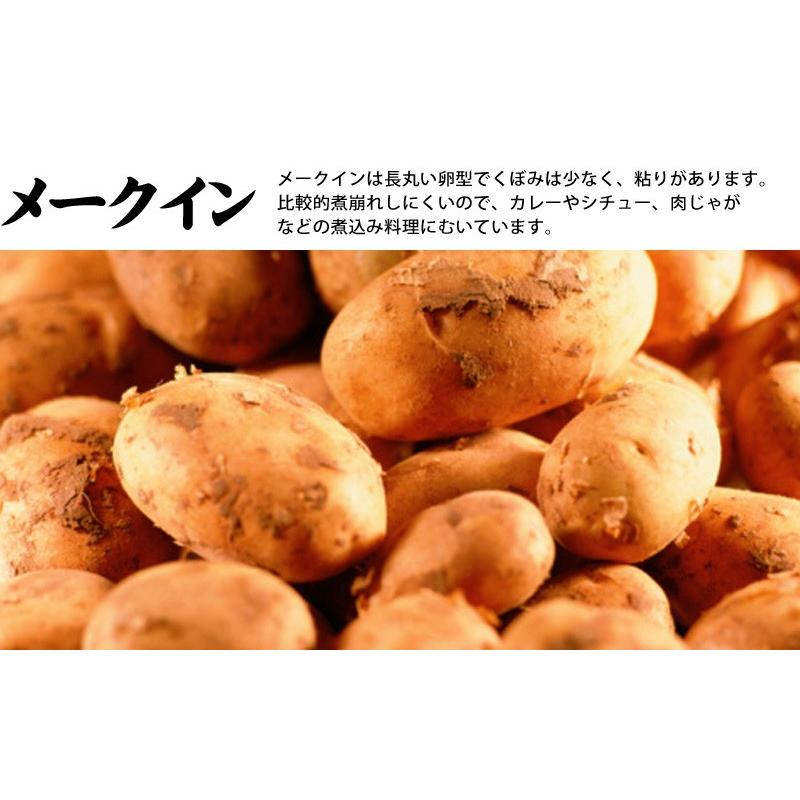 じゃがいも 北海道 メークイン　１ｋｇ （１０玉前後）送料無料