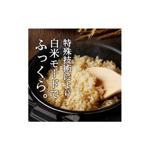 ふるさと納税 静岡県 焼津市 b12-027　令和5年産新米　かんたん玄米 無農薬 肥料不使用 1kg×12回