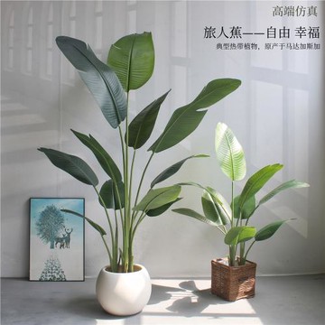 高端仿真綠植假植物旅人蕉輕奢裝飾室內盆栽仿生天堂鳥客廳擺件樹
