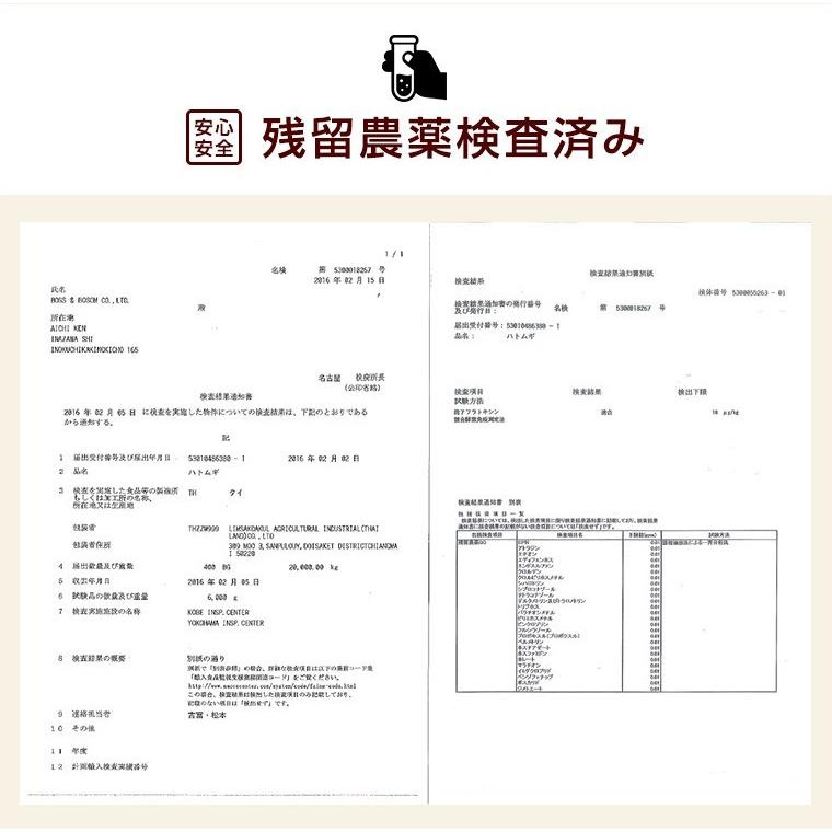 ハトムギ そのまま食べる はと麦 はとむぎ スナック 100ｇ 送料無料 はとむみ 煎り 焙煎 美容 健康 ヨクイニン はと麦茶 はとむぎ茶 国内製造 シリアル