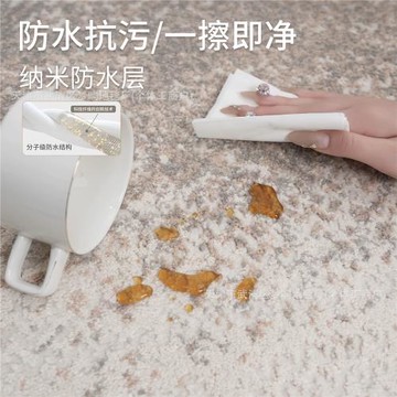 無膠防水客廳地毯現代意式極簡抗污臥室地墊高級感床邊毯抑菌環保