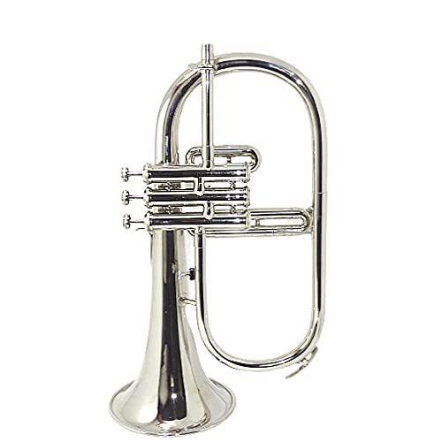 Bb Flat SILVER NICKLE Flugel Horn With Free Hard Case Mouthpiece