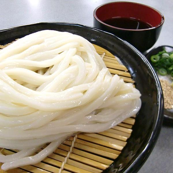 讃岐うどん 半生 4人前 かけうどん ぶっかけうどん ざるうどん つゆ付 ご自宅 在宅