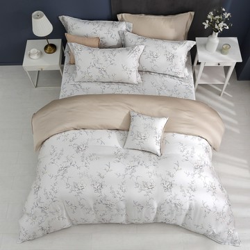 雙人薄被套加大床包組/ 天絲300織 / 天絲 萊賽爾 / 娜蘿亞 [鴻宇] 台灣製 - T20200