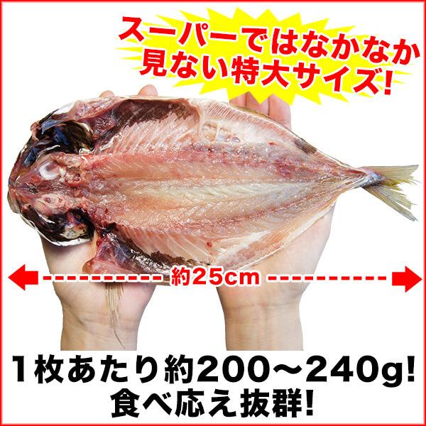 あじ 特大サイズ 開き 5枚 真あじ 送料無料 アジ開き干 静岡県沼津加工 干物 aji-5