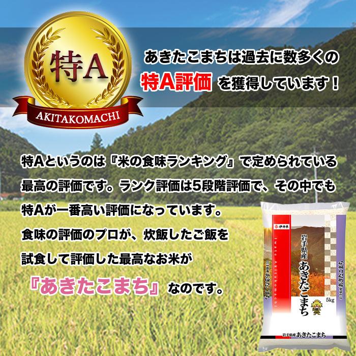 あきたこまち 10kg 5kg×2 令和4年産 米 お米 白米 おこめ 精米 岩手県産 単一原料米 ブランド米 10キロ   国内産 国産