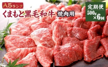 A5ランク くまもと黒毛和牛 焼肉用 500g 焼肉 和牛 牛肉