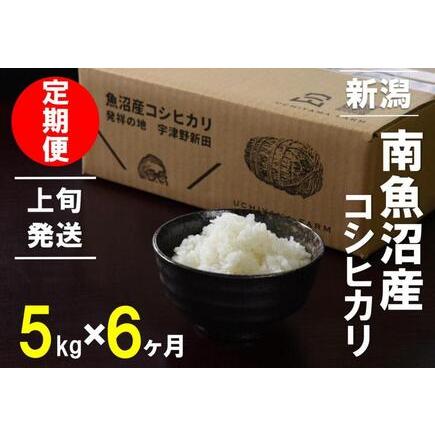 ふるさと納税 5kg×6ヶ月　南魚沼産コシヒカリ　うちやま農園米 新潟県南魚沼市