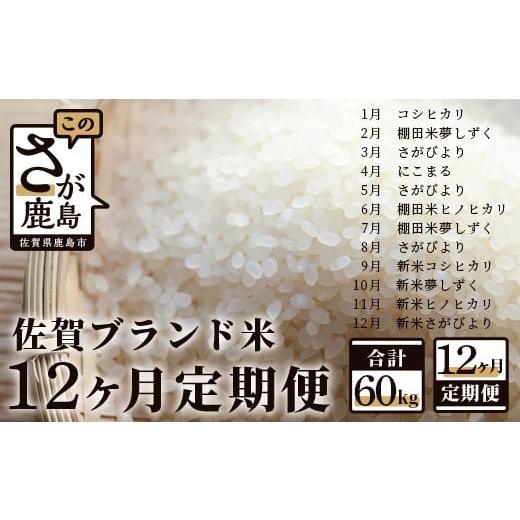 ふるさと納税 佐賀県 鹿島市 L-31佐賀ブランド米定期便（5kg×12回）