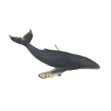 親子桌遊 collectA 座頭鯨~英國高擬真模型-R88347【永曄 小牛津 柯雷塔】