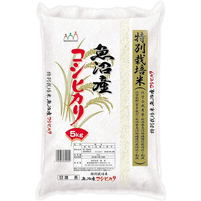 精米 お米アドバイザー厳選米 魚沼産コシヒカリ 特別栽培米 5kg