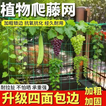 🔥臺灣熱賣⚡️爬藤網網格百香果絲瓜葡萄植物黃瓜豆角搭架吊瓜種植苦瓜攀爬加粗🎉