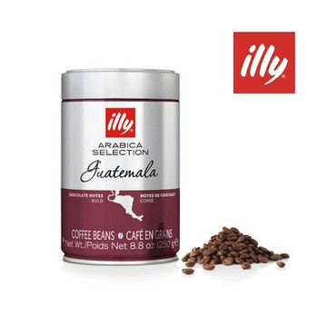 義大利【illy】瓜地馬拉單品咖啡豆｜250g｜總代理公司貨