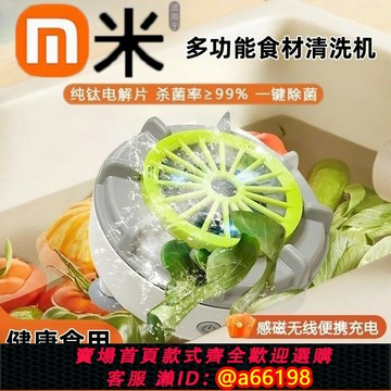 【台灣公司 可開發票】超聲波果蔬清洗機多功能自動食材凈化機神器殺菌去農殘蔬菜洗菜機