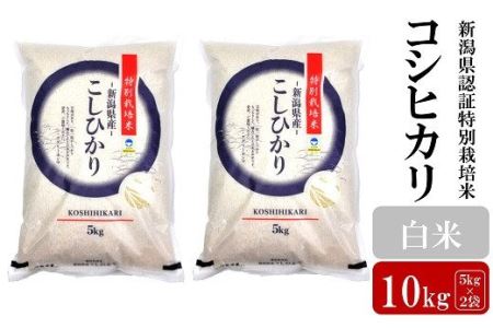 新潟県認証特別栽培米 コシヒカリ 白米 10kg（5kg×2袋） [B361]