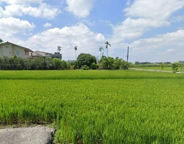 龍肚國小獅山社區農地｜高雄市美濃區龍肚段