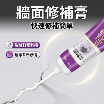 【台灣現貨】  250g 牆面補牆膏 補土 裂縫修補 凹洞修補 補土膏 批土