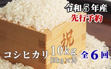 白米 10kg 令和5年産 コシヒカリ 岡山 「おおがや米」生産組合 G-ag-CCZA