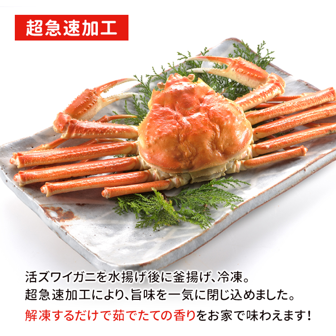 ボイルずわいがに肩足3kg（1.5kg×2）送料無料 お取り寄せグルメ 海鮮 ギフト