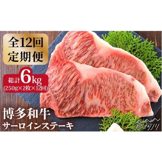 ふるさと納税 福岡県 那珂川市 博多和牛サーロインステーキセット 500g（250g×2枚）＜株式会社MEAT PLUS＞那珂川…