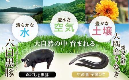 ふるさと2選A うなぎ(有頭・125g以上×2尾) と焼豚(約200g×5個・計約1kg)のセット 鹿児島 国産 九州産 黒豚 豚肉 お肉 焼豚 チャーシュー うなぎ 鰻 ギフト 贈答 特別な日に