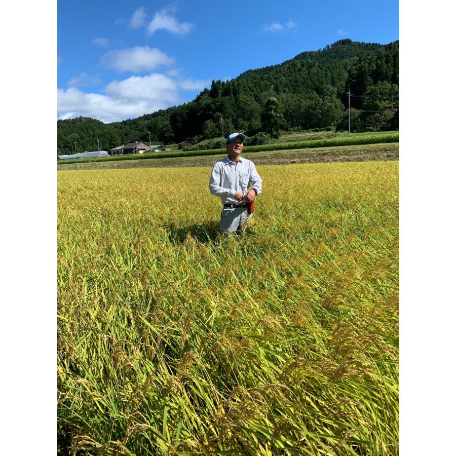 福の里の米 減農薬特別栽培米 山口県 阿武産 コシヒカリ 5kg 令和5年産