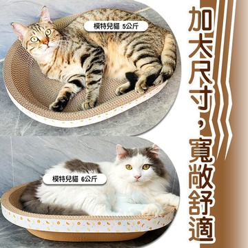 🔥台灣現貨 滿額免運🔥橢圓形貓抓窩 55cm 60cm 貓咪玩具 貓抓板 磨爪耐抓 貓用品 貓抓窩 一體成形