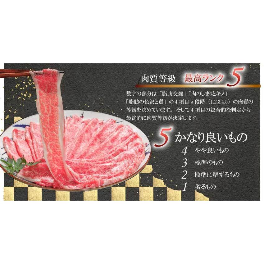 お歳暮 2023 和牛 牛肉 黒毛和牛 A5等級 サーロインステーキ 贈答にも(150g〜180g)×2枚 ギフト