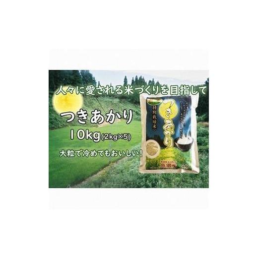 ふるさと納税 新潟県 十日町市 新潟魚沼産 つきあかり新潟魚沼産2kg×５袋