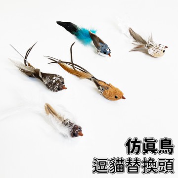 【喵星】逗貓替換頭｜仿真鳥一 超像小鳥! 獵物 逗貓棒 貓咪玩具 逗貓 替換頭 喵星實驗室