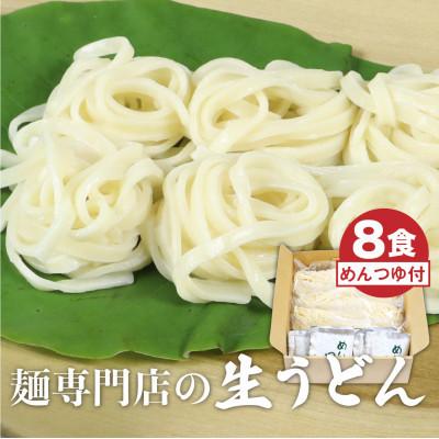 ふるさと納税 飛騨市 生うどん 8食セット つゆ付