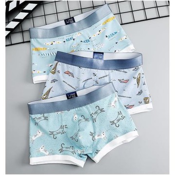 青少年純棉質95%內褲男孩17全棉19大童21高中16初中學生平角褲18