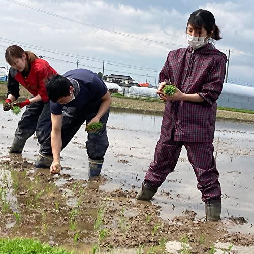 水菜土農園新米 山形県産 つや姫 25kg (5kg×5袋) 令和5年産 古代米お試し袋付き