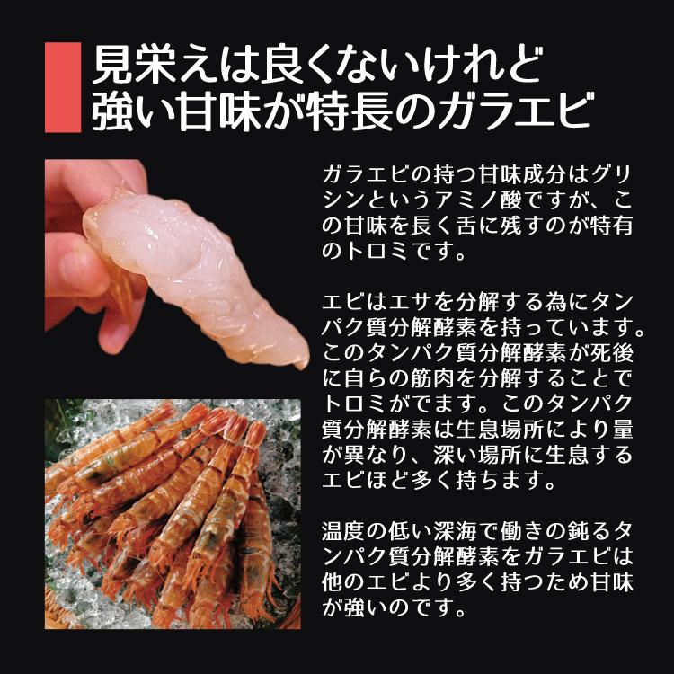 お歳暮 日本海産がらえび 750g 生食用