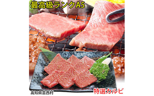 肉 牛 焼肉土佐 和牛 A5 特選 カルビ 焼肉 500g〈高知市共通返礼品〉お歳暮 御歳暮