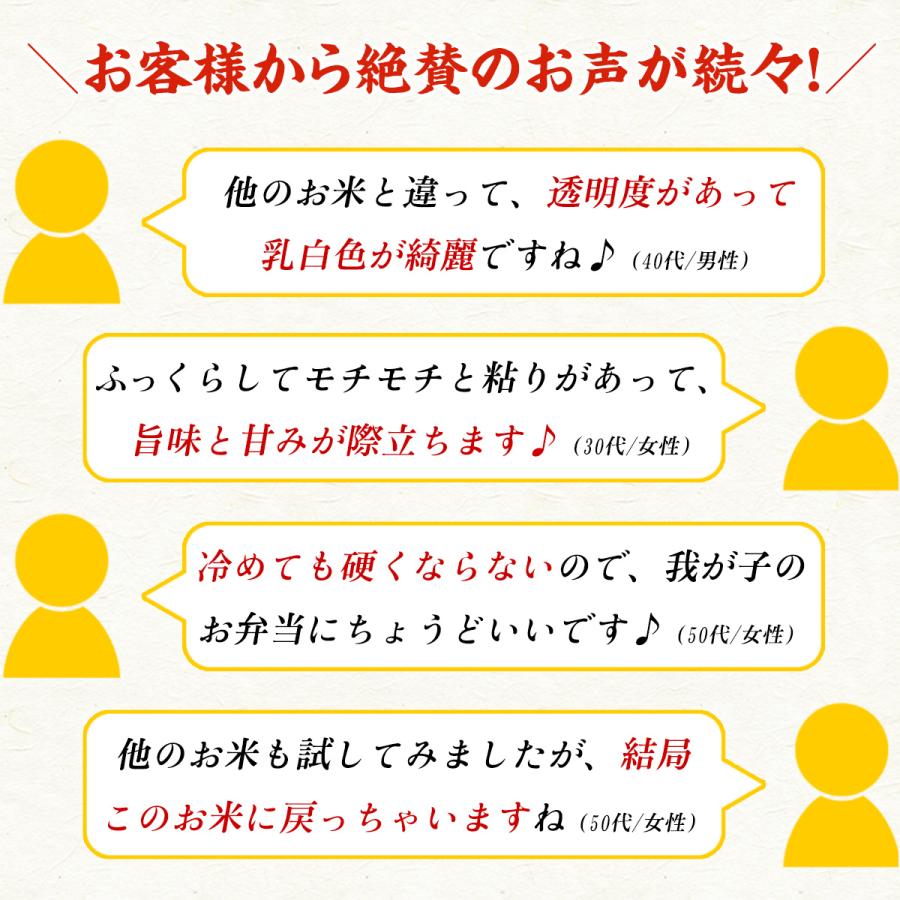 令和5年産　福井県産　ミルキークイーン　10kg（5kg×2袋）