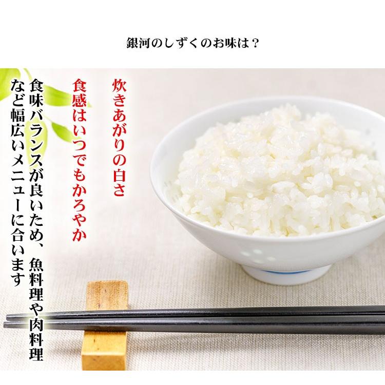 新米 お米 5kg 送料別 白米 銀河のしずく 岩手県産 令和5年産 1等米 お米 5キロ 食品